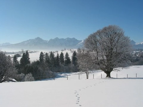 Winterliches Bergpanorama im Allgäu